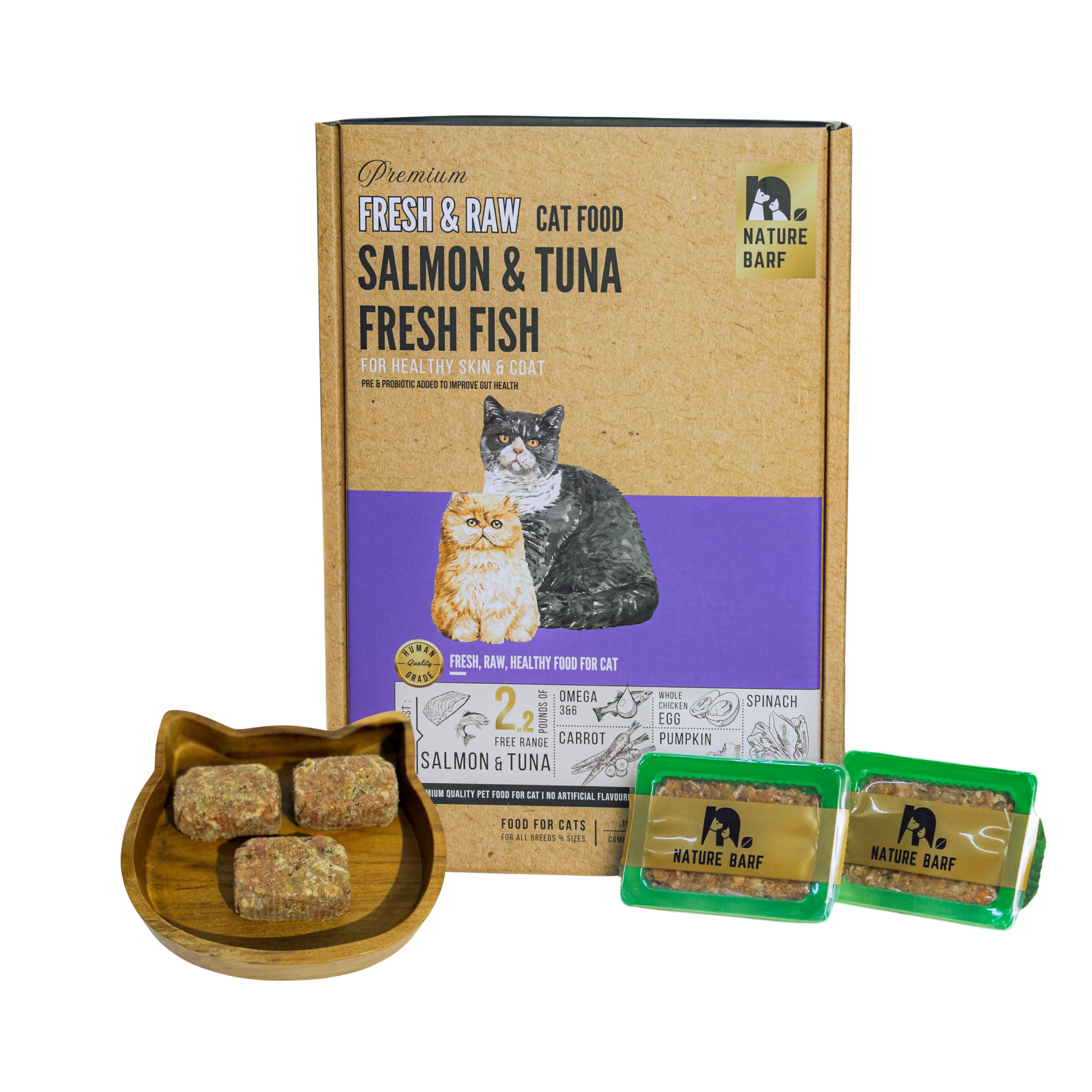 salmon_tuna_fresh_fish